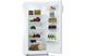 Холодильник Snaige C29SM-T10021 70196 фото 4